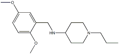 N-[(2,5-dimethoxyphenyl)methyl]-1-propylpiperidin-4-amine Struktur