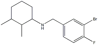 N-[(3-bromo-4-fluorophenyl)methyl]-2,3-dimethylcyclohexan-1-amine Struktur