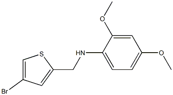 N-[(4-bromothiophen-2-yl)methyl]-2,4-dimethoxyaniline Struktur