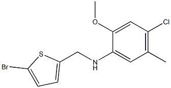 N-[(5-bromothiophen-2-yl)methyl]-4-chloro-2-methoxy-5-methylaniline Struktur