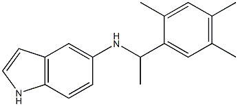 N-[1-(2,4,5-trimethylphenyl)ethyl]-1H-indol-5-amine Struktur