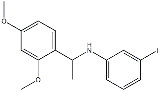 N-[1-(2,4-dimethoxyphenyl)ethyl]-3-iodoaniline Struktur