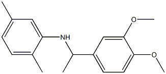 N-[1-(3,4-dimethoxyphenyl)ethyl]-2,5-dimethylaniline Struktur