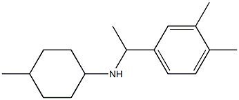 N-[1-(3,4-dimethylphenyl)ethyl]-4-methylcyclohexan-1-amine Struktur