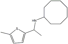 N-[1-(5-methylthiophen-2-yl)ethyl]cyclooctanamine Struktur