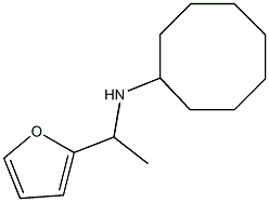 N-[1-(furan-2-yl)ethyl]cyclooctanamine Struktur