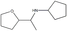 N-[1-(oxolan-2-yl)ethyl]cyclopentanamine Struktur