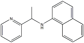 N-[1-(pyridin-2-yl)ethyl]naphthalen-1-amine Struktur