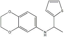 N-[1-(thiophen-2-yl)ethyl]-2,3-dihydro-1,4-benzodioxin-6-amine Struktur