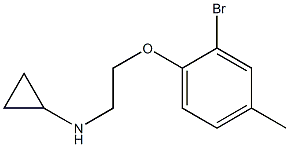 N-[2-(2-bromo-4-methylphenoxy)ethyl]cyclopropanamine Struktur