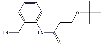 N-[2-(aminomethyl)phenyl]-3-(tert-butoxy)propanamide Struktur