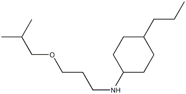 N-[3-(2-methylpropoxy)propyl]-4-propylcyclohexan-1-amine Struktur