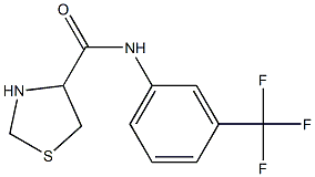 N-[3-(trifluoromethyl)phenyl]-1,3-thiazolidine-4-carboxamide Struktur