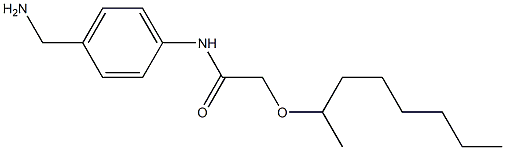 N-[4-(aminomethyl)phenyl]-2-(octan-2-yloxy)acetamide Struktur