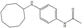 N-[4-(cyclooctylamino)phenyl]acetamide Struktur