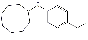 N-[4-(propan-2-yl)phenyl]cyclooctanamine Struktur