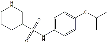 N-[4-(propan-2-yloxy)phenyl]piperidine-3-sulfonamide Struktur