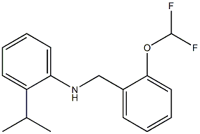 N-{[2-(difluoromethoxy)phenyl]methyl}-2-(propan-2-yl)aniline Struktur