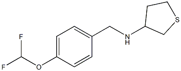 N-{[4-(difluoromethoxy)phenyl]methyl}thiolan-3-amine Struktur