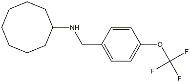 N-{[4-(trifluoromethoxy)phenyl]methyl}cyclooctanamine Struktur