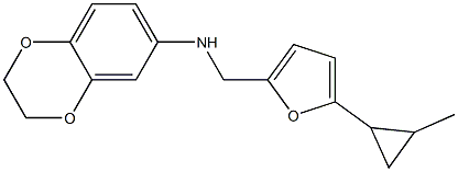 N-{[5-(2-methylcyclopropyl)furan-2-yl]methyl}-2,3-dihydro-1,4-benzodioxin-6-amine Struktur