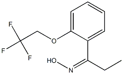 N-{1-[2-(2,2,2-trifluoroethoxy)phenyl]propylidene}hydroxylamine Struktur