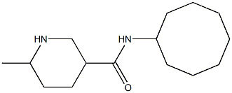 N-cyclooctyl-6-methylpiperidine-3-carboxamide Struktur