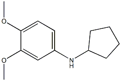 N-cyclopentyl-3,4-dimethoxyaniline Struktur