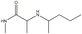 N-methyl-2-(pentan-2-ylamino)propanamide Struktur