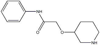 N-phenyl-2-(piperidin-3-yloxy)acetamide Struktur