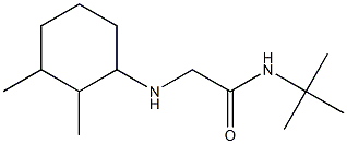 N-tert-butyl-2-[(2,3-dimethylcyclohexyl)amino]acetamide Struktur