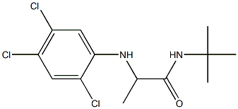 N-tert-butyl-2-[(2,4,5-trichlorophenyl)amino]propanamide Struktur