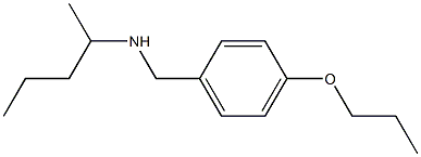 pentan-2-yl[(4-propoxyphenyl)methyl]amine Struktur