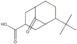 6-tert-butyl-9-oxobicyclo[3.3.1]nonane-3-carboxylic acid Struktur