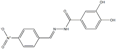 3,4-dihydroxy-N'-[(E)-(4-nitrophenyl)methylidene]benzohydrazide Struktur