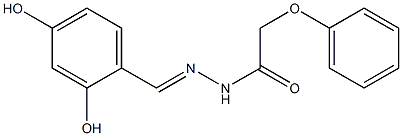 N'-[(E)-(2,4-dihydroxyphenyl)methylidene]-2-phenoxyacetohydrazide Struktur