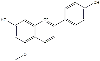 7,4'-Dihydroxy-5-methoxyflavylium Struktur