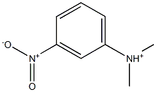 N,N-Dimethyl-3-nitroanilinium Struktur