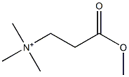 N,N,N-Trimethyl-3-methoxy-3-oxo-1-propanaminium Struktur