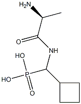 [(L-Alanylamino)(cyclobutyl)methyl]phosphonic acid Struktur