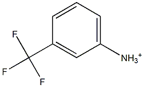 m-Trifluoromethylanilinium Struktur