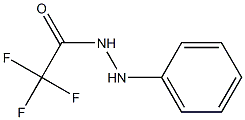 2,2,2-Trifluoro-N'-phenylacetohydrazide Struktur