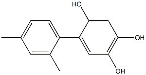 2',4'-Dimethyl-1,1'-biphenyl-2,4,5-triol Struktur