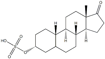 19-Norandrosterone sulfate Struktur