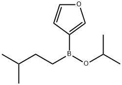 Borinic acid, 3-furanyl(3-methylbutyl)-, 1-methylethyl ester (9CI) Struktur