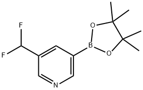 3-(difluoromethyl)-5-(4,4,5,5-tetramethyl-1,3,2-dioxaborolan-2-yl)pyridine Struktur