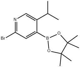 2-Bromo-5-(iso-propyl)pyridine-4-boronic acid pinacol ester Struktur