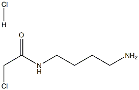 N-(4-aminobutyl)-2-chloroacetamide hydrochloride