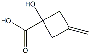 1-hydroxy-3-methylenecyclobutane-1-carboxylic acid Struktur