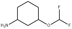 3-(DIFLUOROMETHOXY)CYCLOHEXAN-1-AMINE 結構式